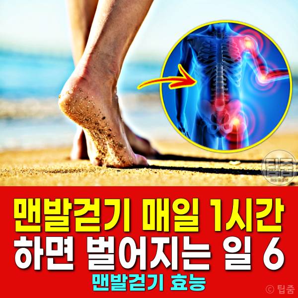 맨발걷기 효능 시간 방법 맨발걷기의기적