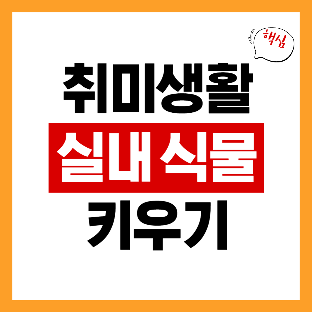 실내 식물 키우기