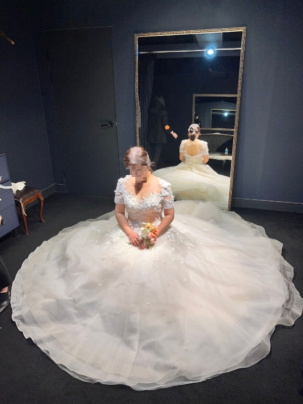 펠리스노비아-풍성