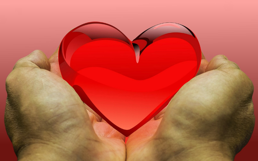 건강한 심장 관련 사진