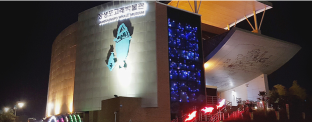 장생포고래박물관 야경모습