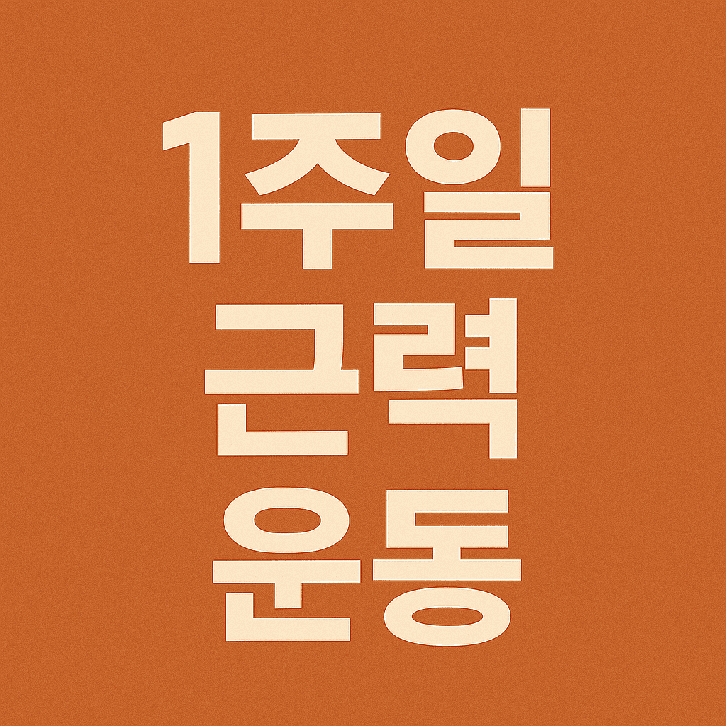 일주일 근력 운동 루틴