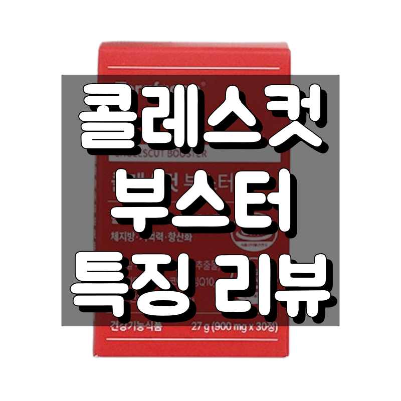 콜레스컷 부스터 대표 이미지
