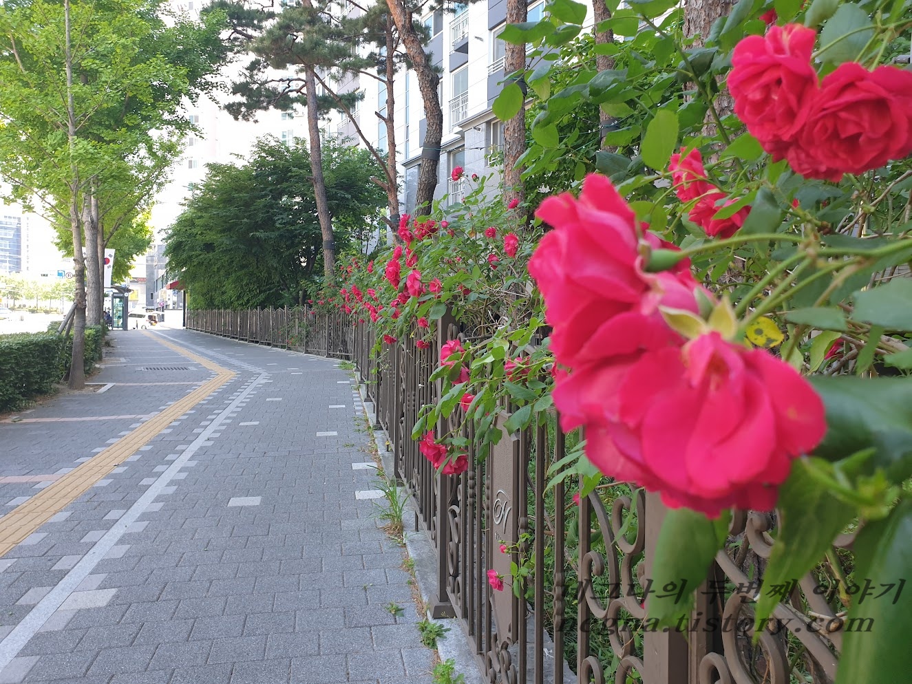 황령산 등산 코스 2
