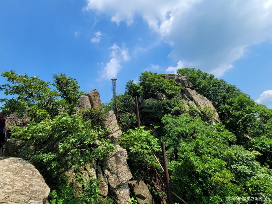 과천 가볼만한곳 베스트10