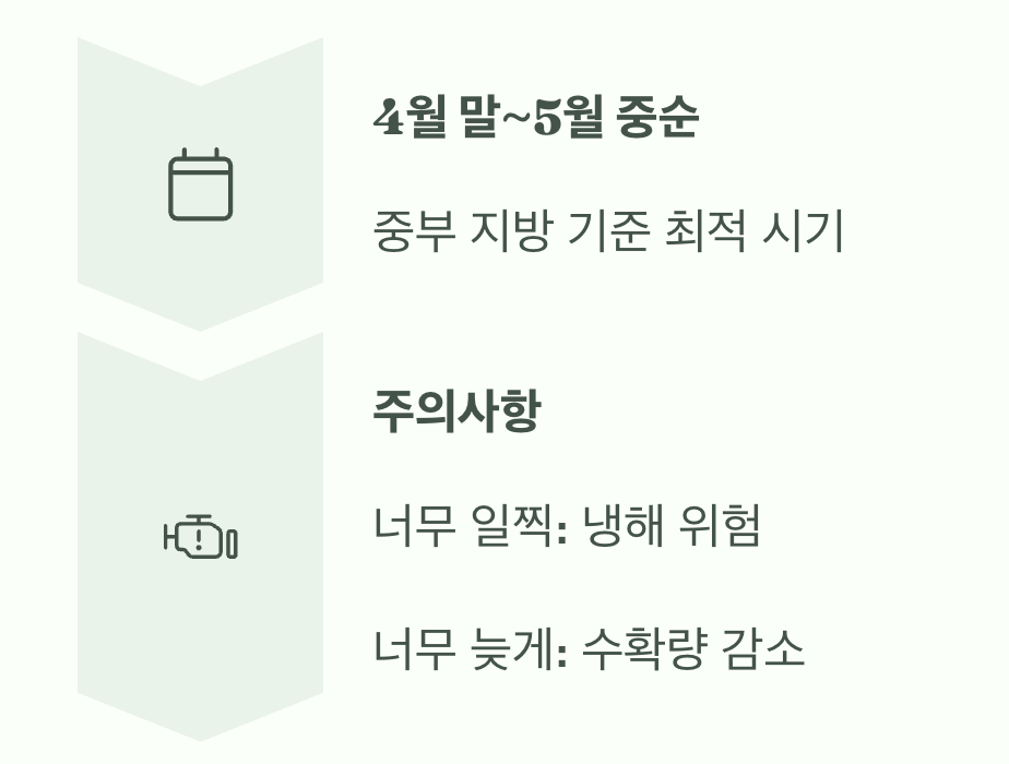 그래서, 최적의 날짜는 언제일까?