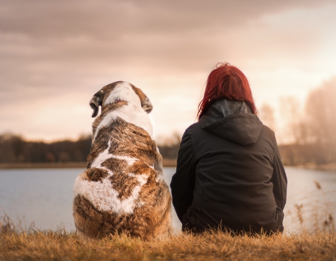 애완동물과 함께하는 견주