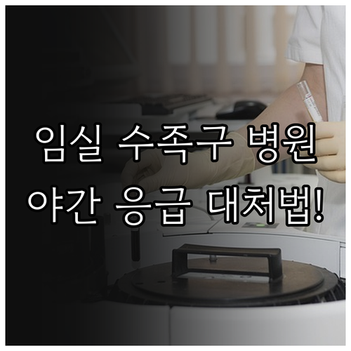 임실 수족구 진료 병원 위치와 야간 ..