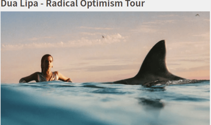 두아 리파 내한 공연 선예매