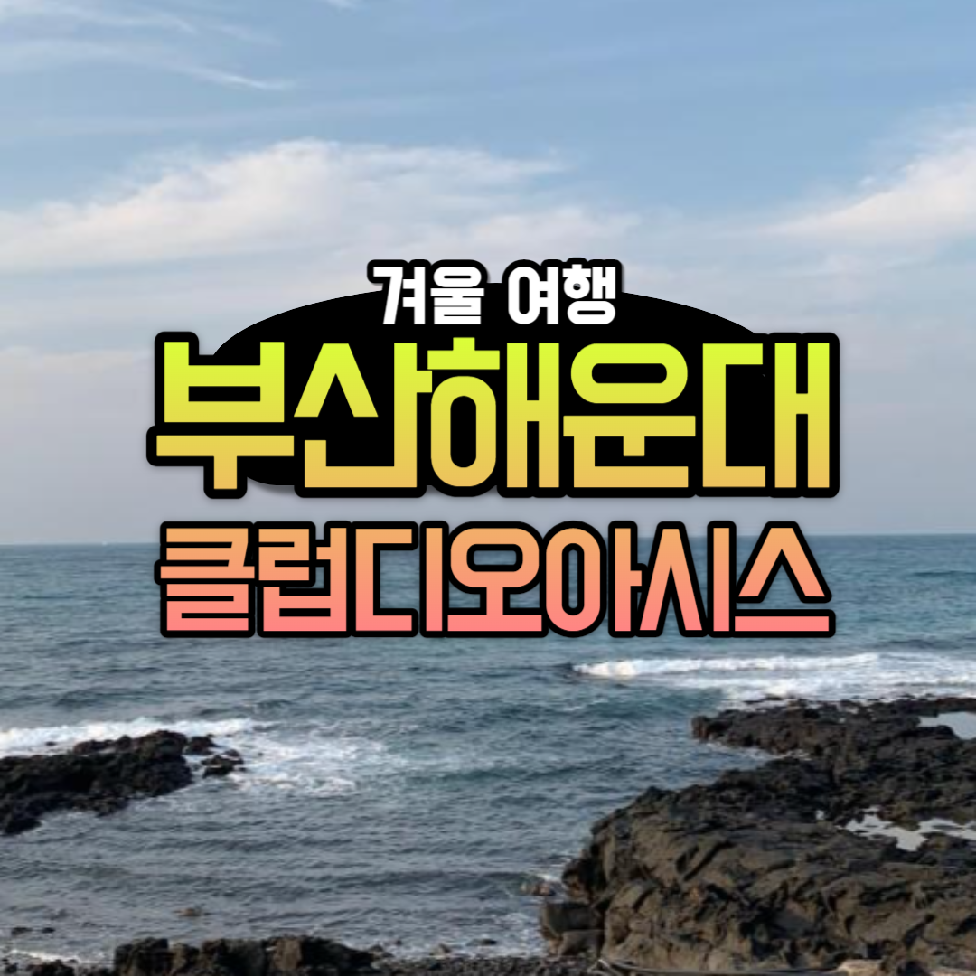 겨울 여행 부산 클럽디 오아시스 스파 찜질방