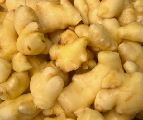 기침에 좋은 한약재