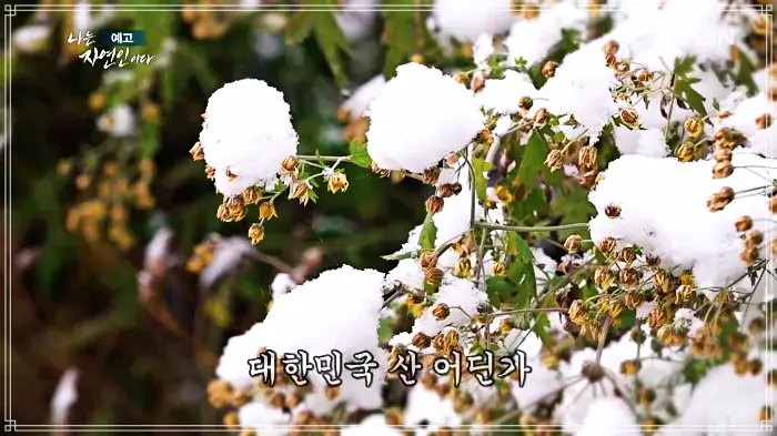 나는-자연인이다-윤택
