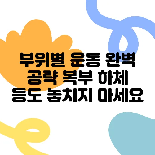 부위별 운동 완벽 공략 복부 하체 등도 놓치지 마세요