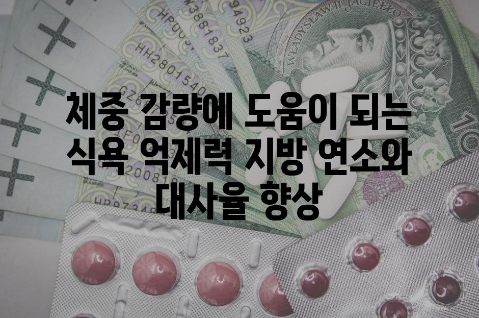 체중 감량에 도움이 되는 식욕 억제력 지방 연소와 대사율 향상