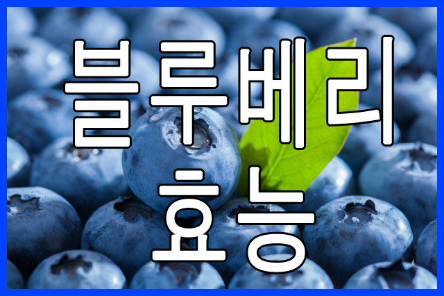 눈건강에 좋은 블루베리의 엄청난 효능 10가지