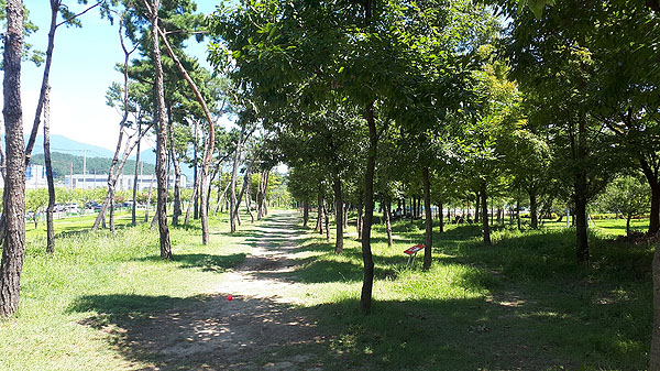 대구 달성군 구지파크골프장 (구지1호근린공원) 소개