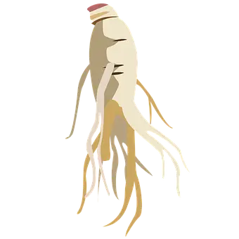 남성 갱년기 음식