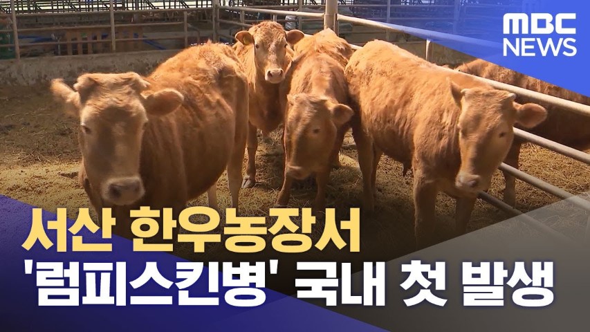 럼피스킨병 관련주