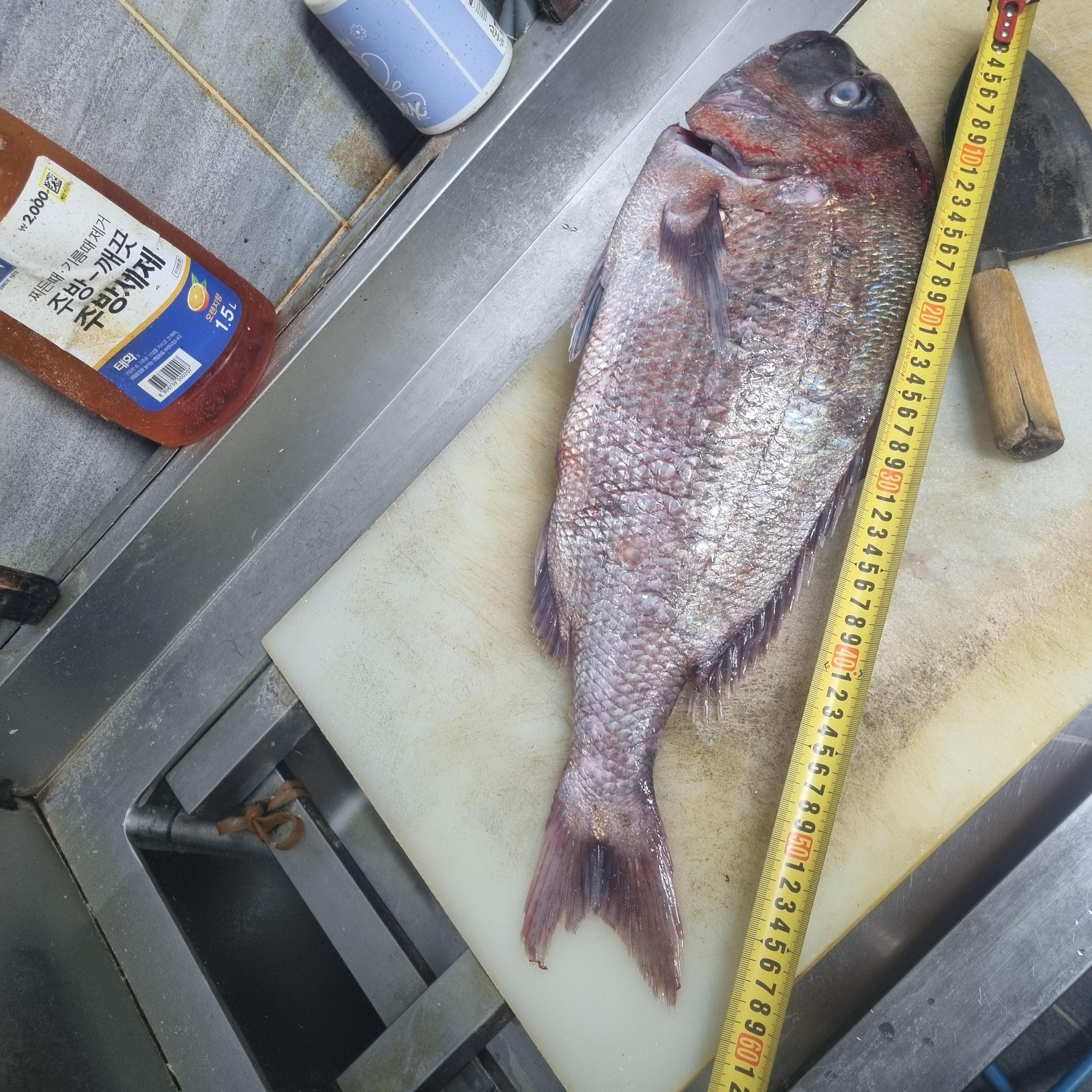 송도맛집추천&amp;#44; 재철해산물&amp;#44; 송도횟집