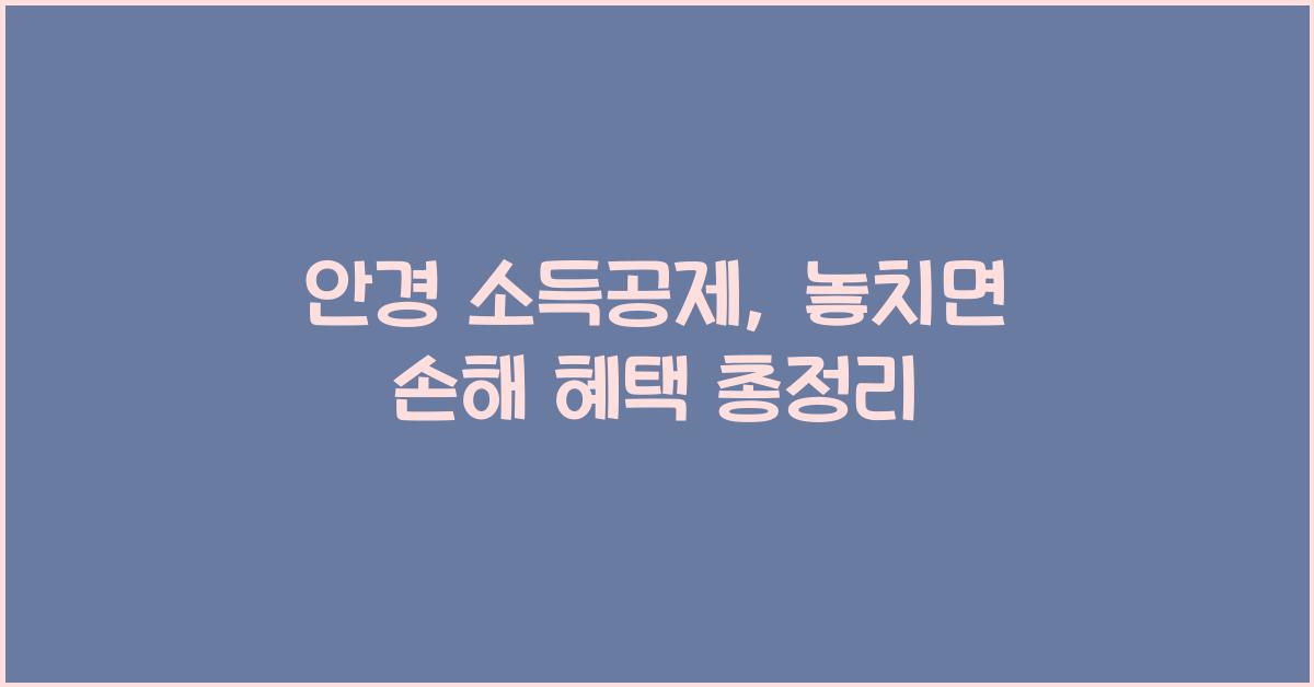 안경 소득공제