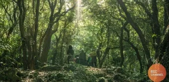 제주 곶자왈 숲길 산책 원시림 초록 힐링 여행_19