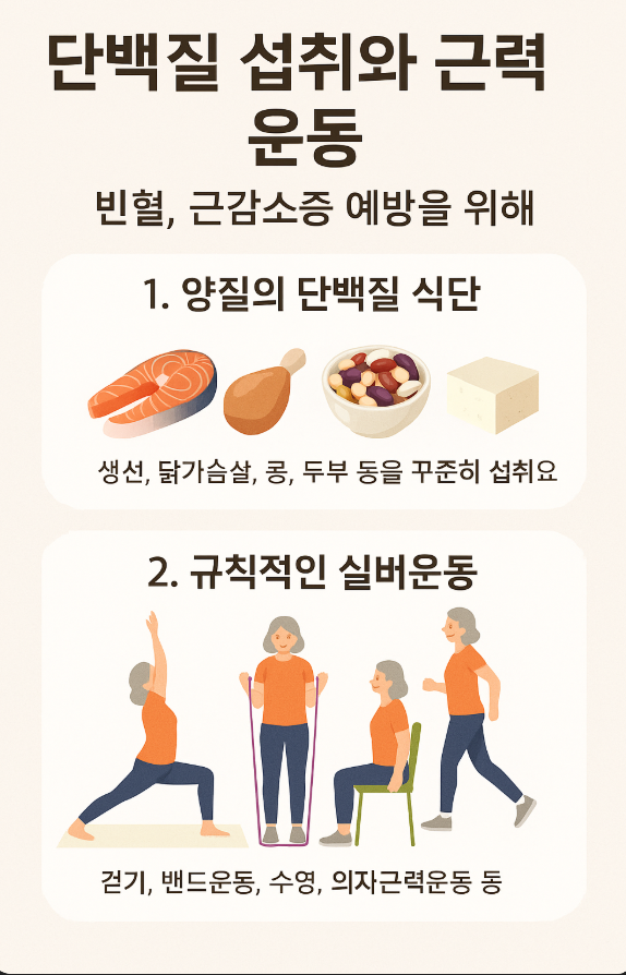 빈혈과 근육량 감소 – 단백질 섭취와 실버운동법으로 활력 찾기