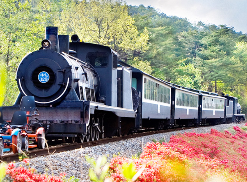 곡성 기차마을 증기기관차