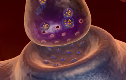 대상포진 초기 증상