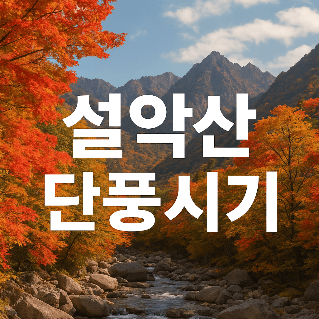 설악산 단풍시기