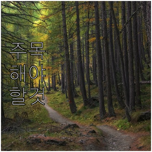 은평구 대형폐기물, 과태료 피하는 올..
