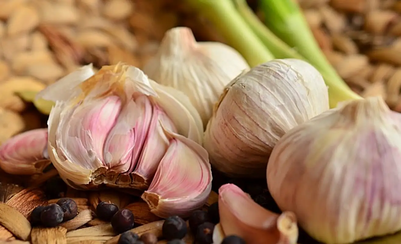 마늘장아찌 담그는법