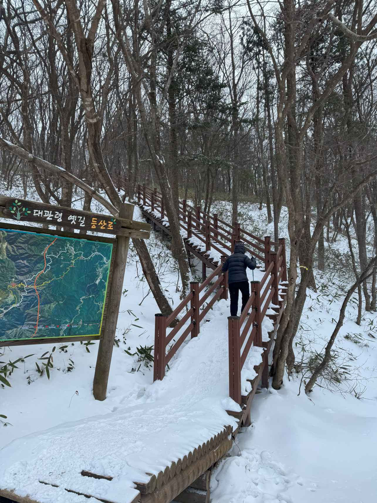 산자령 가는길 초입1