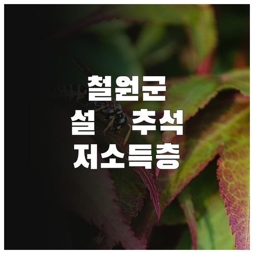 철원군 2025년 설·추석, 저소득층..