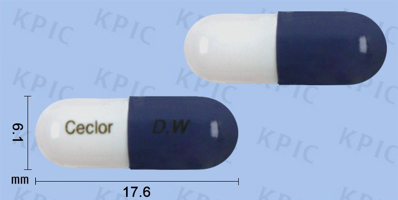 시클러캡슐250MG : 효능과 사용법 안내