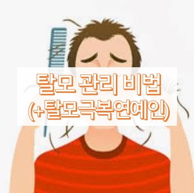 탈모관리-비법