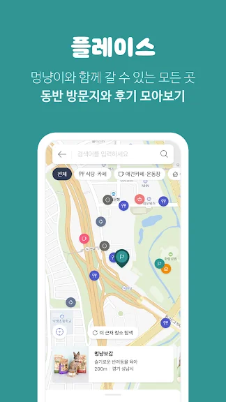 유기묘 새끼 고양이 무료 분양 어플 앱-27 유기묘 새끼 고양이 무료 분양 어플 앱-27