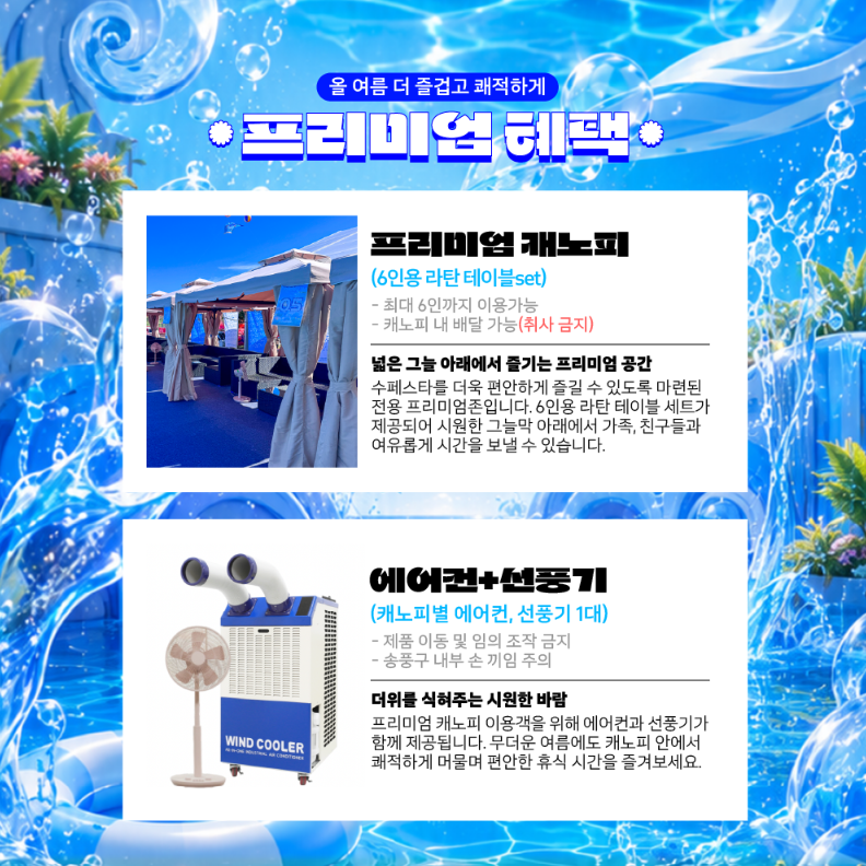 안동 수 페스타