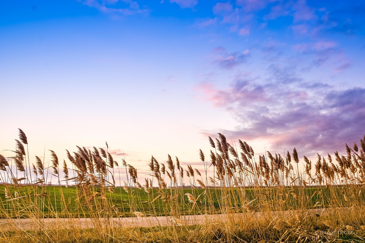 지역 고용률 상승 직업군 분석 + 관련 자격증 추천