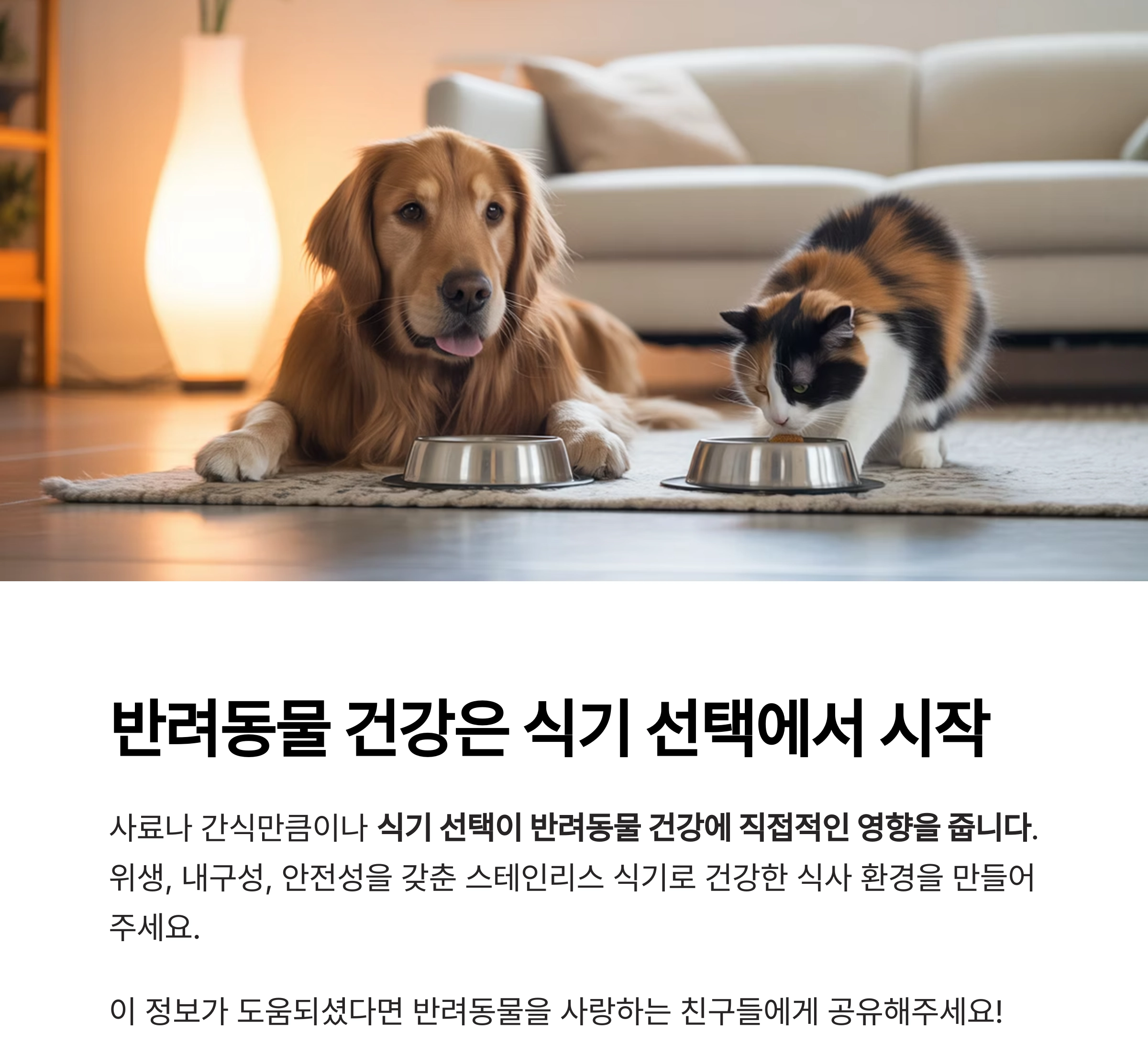 반려동물 건강을 위한 최고의 선택, 스테인리스 식기 추천 이유