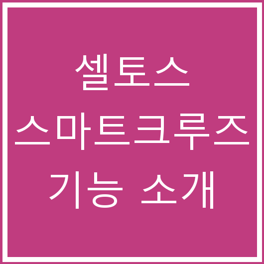 셀토스 스마트크루즈 기능 소개