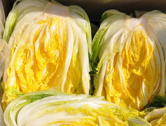 절임배추 파는곳