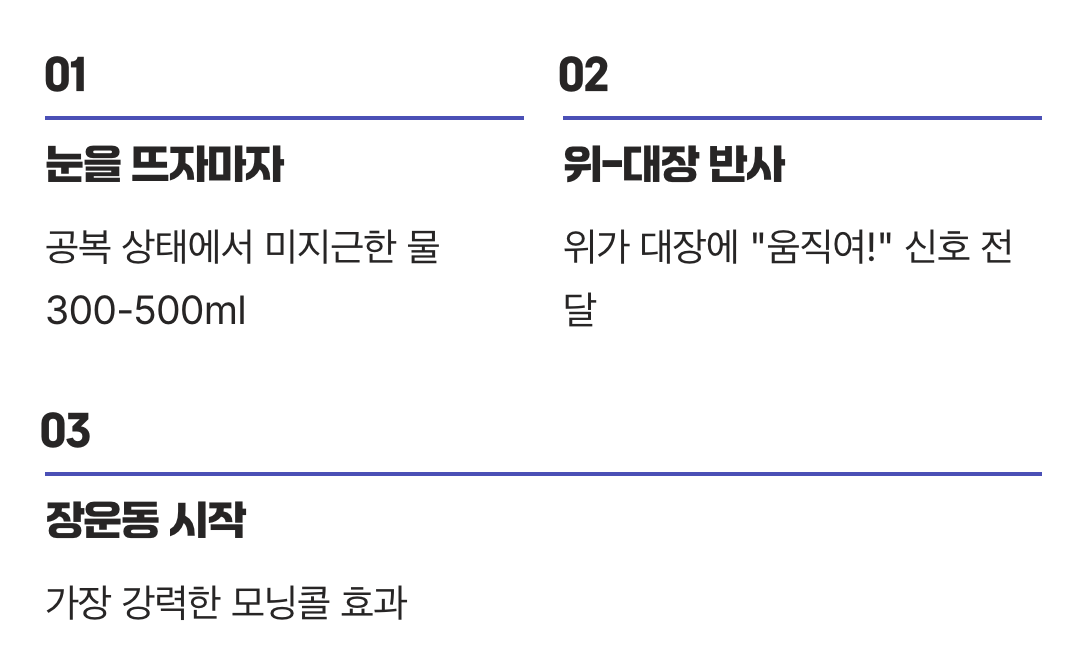 아침&amp;#44; 장을 깨우는 황금 시간
