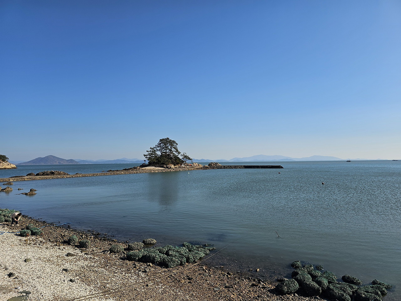 장흥 읍내 원룸·투룸 추천 지역 TOP 5 — “정착자는 동네를 고를 때 ‘생활의 디테일’을 먼저 본다”