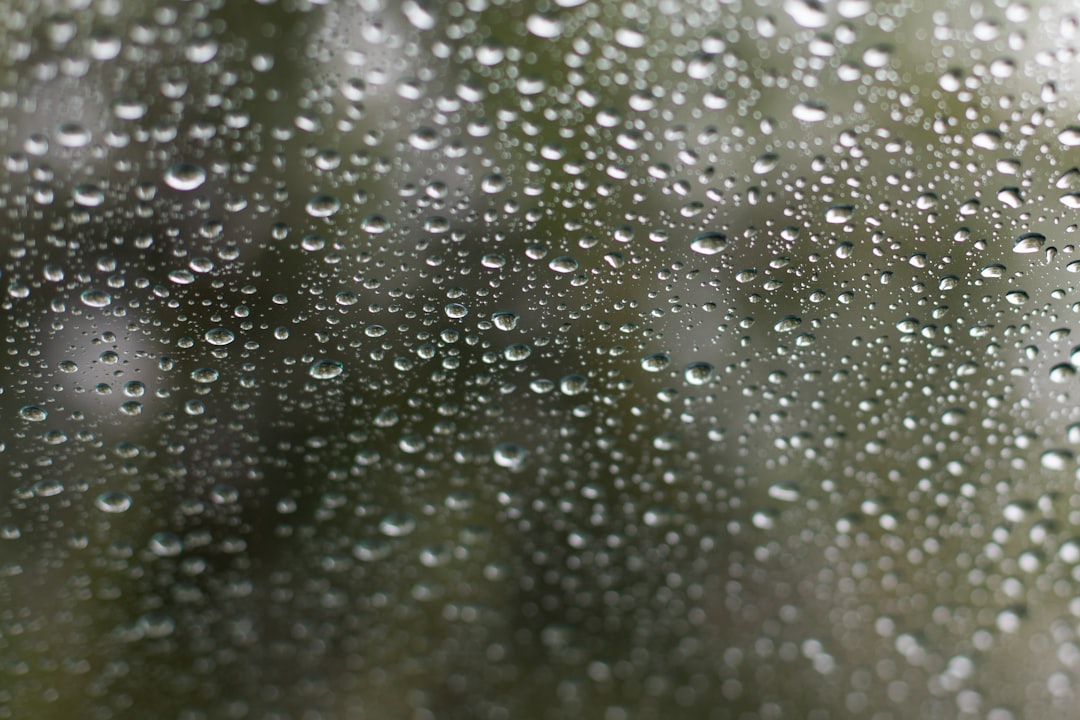 Rain.