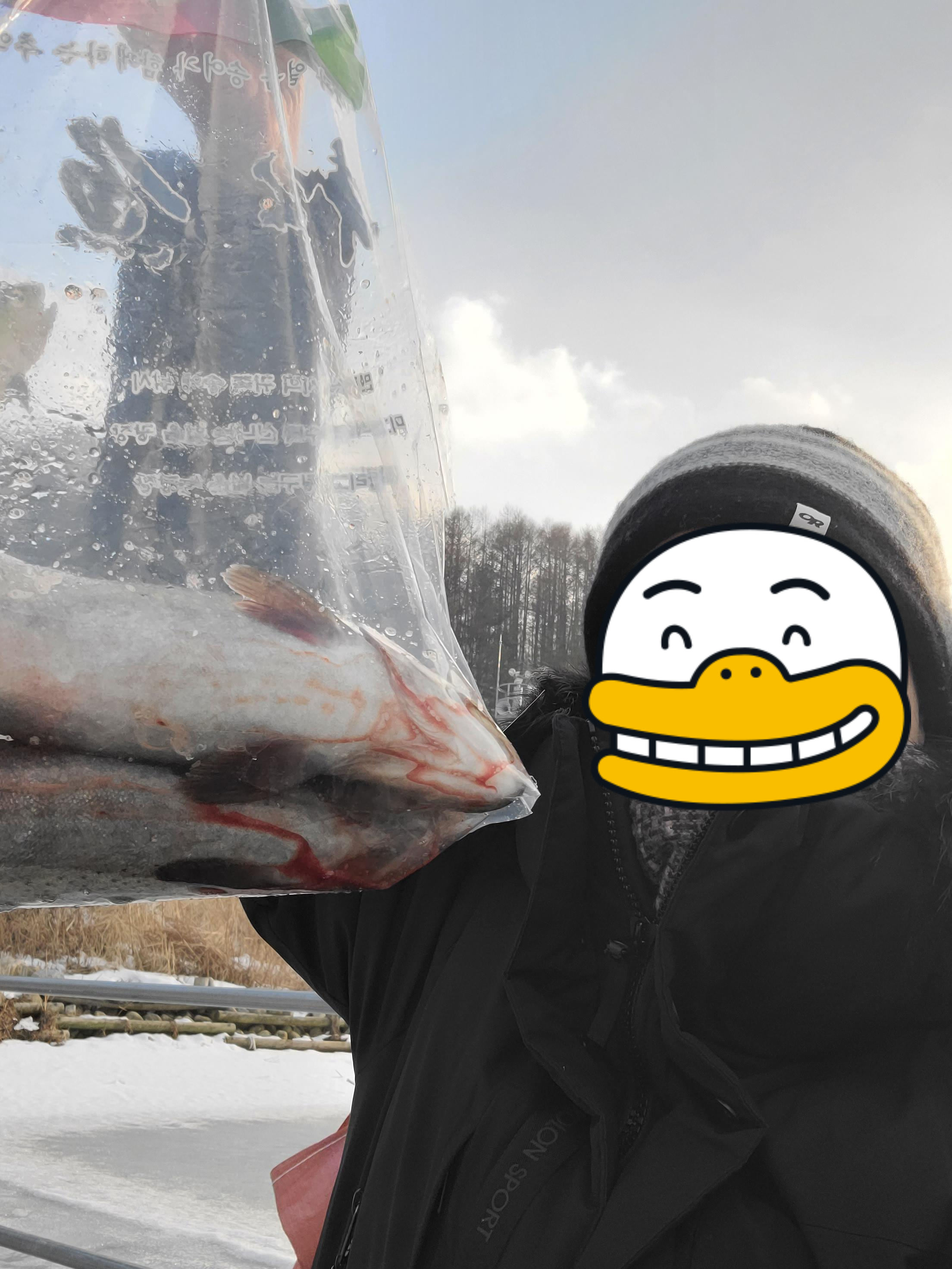 평창 송어 축제에서 송어 두마리를 봉지에 넣고 인증사진