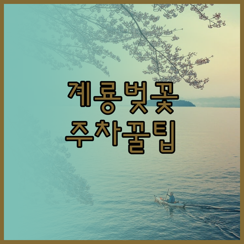 계룡시 벚꽃 여행을 위한 개화 시기 ..