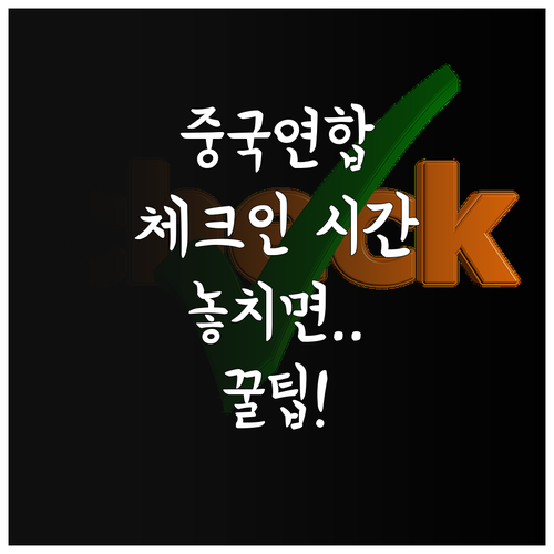 중국연합항공 온라인체크인 오픈 시간 ..