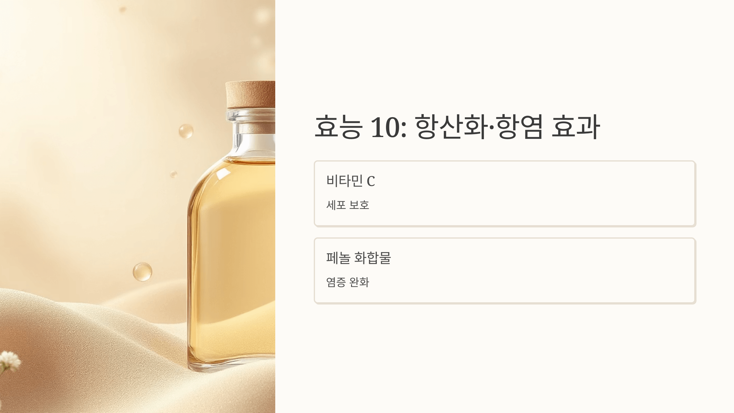 감자 사진입니다.