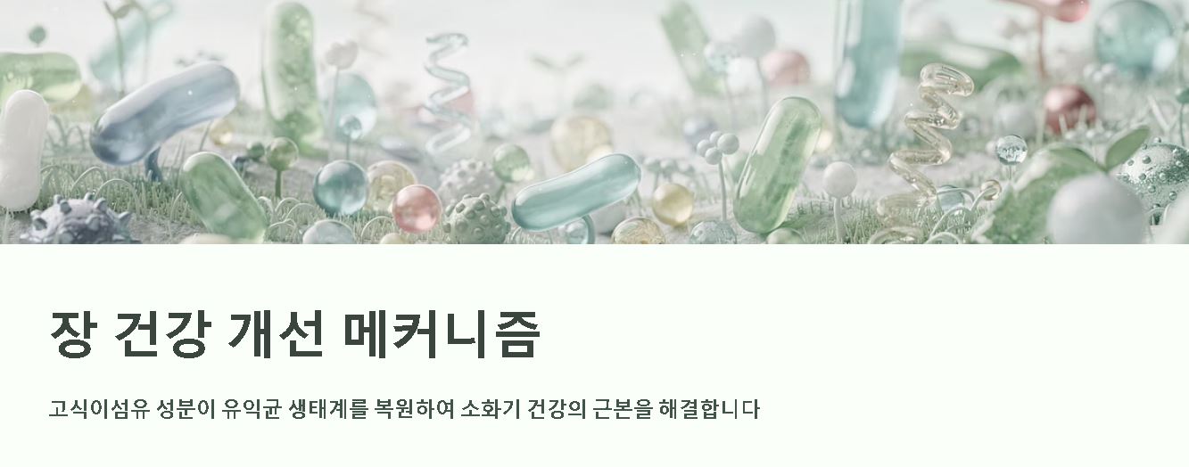 카무트 효소 효능
