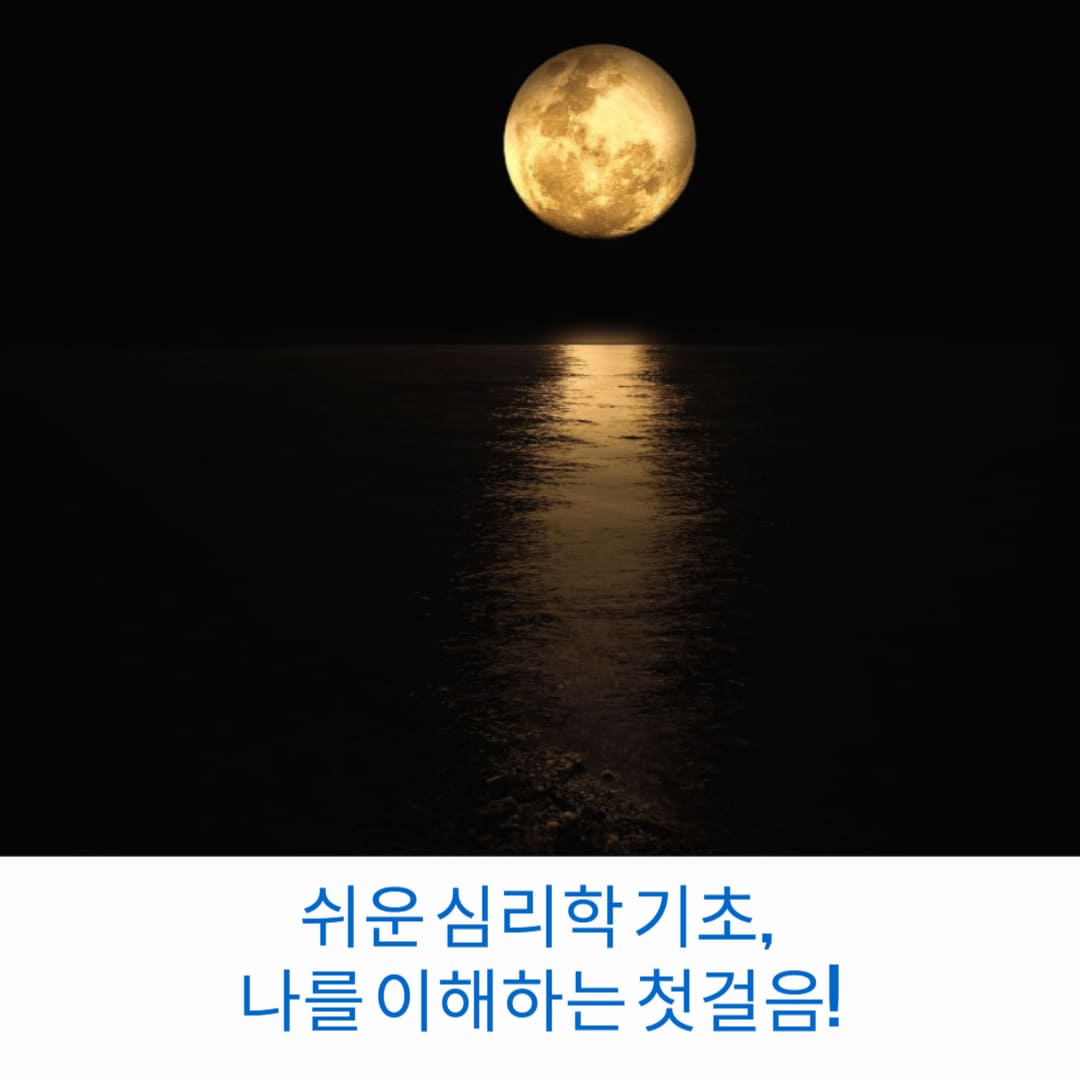 쉬운-심리학-기초-나를-이해하는-첫걸음-썸네일